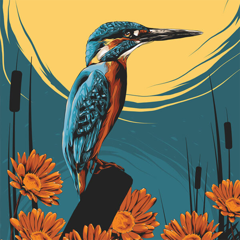 Children’s book illustration